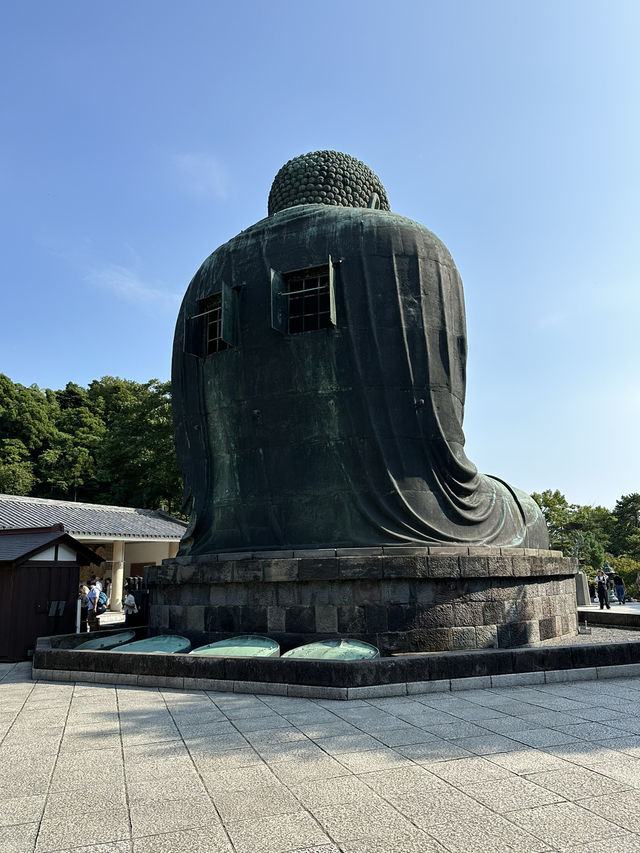 【鎌倉】觀光必到路線-高德院 鎌倉大佛
