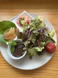 【福岡カフェ】緑いっぱいのお庭を眺めながらランチできるカフェ🍽