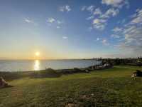都会のすぐそば、癒しの夕陽：Point Ormondのひととき