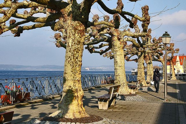 Meersburg Germany