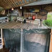 บ้านพักลอแอะ ป่าบงเปียง - เชียงใหม่