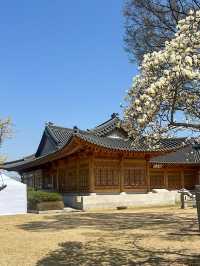 【ソウル／汝矣島】漢江公園でのんびりお散歩