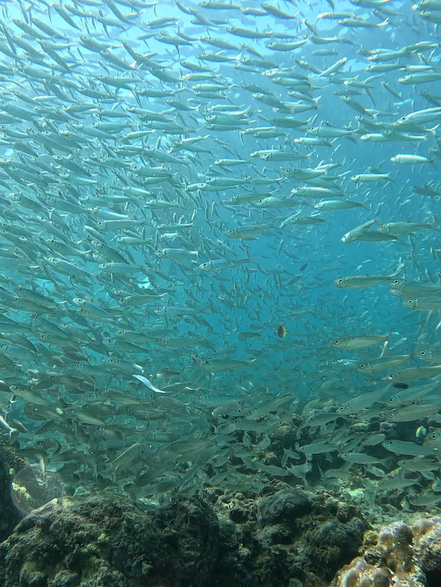 海がとても綺麗