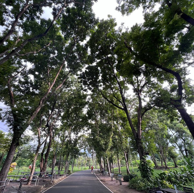 ปั่นจักรยานชมชมพูพันธุ์ทิพย์ 🚲 
