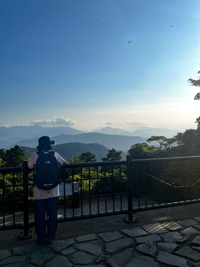 【東京🇯🇵】週末は自然浴を💚