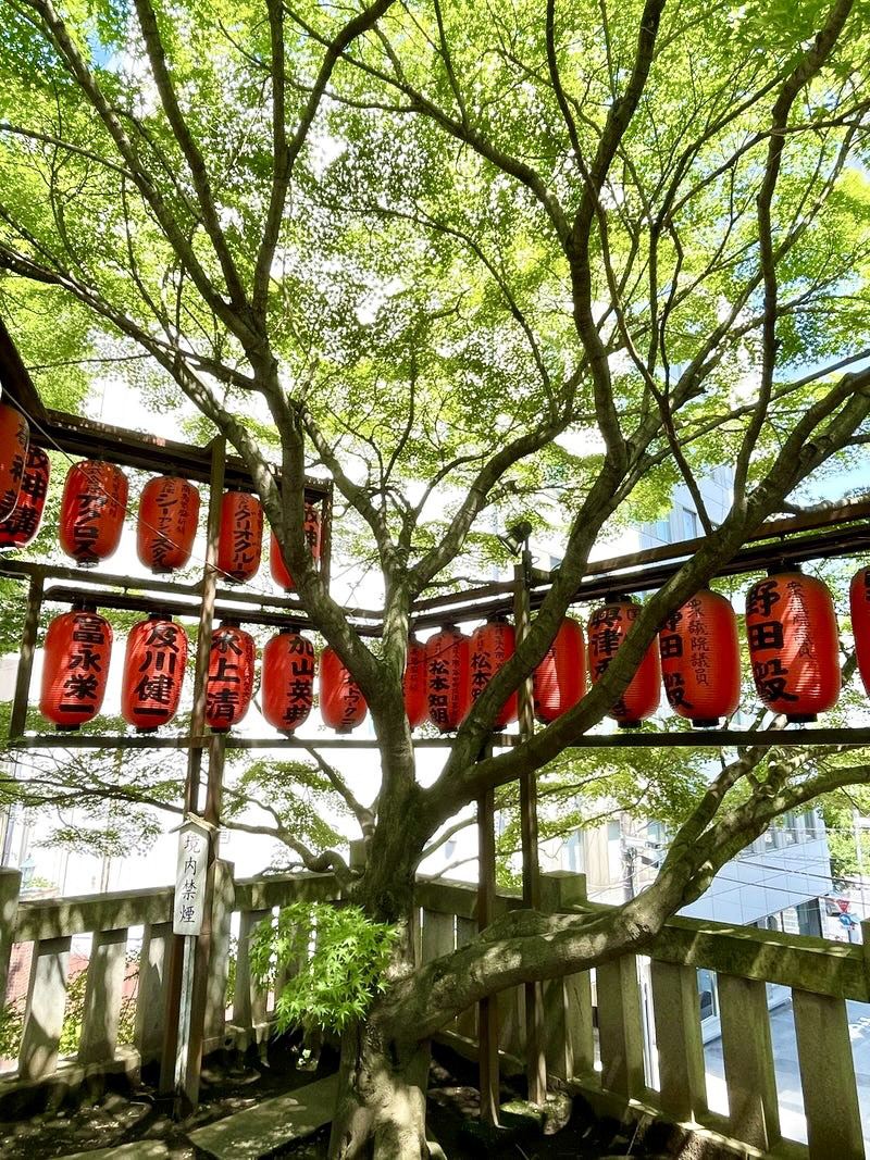 東京都】眼病平癒ご利益ある神社 | Trip.com 東京