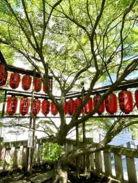 【東京都】眼病平癒ご利益ある神社