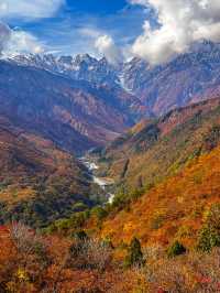 【日本のスイス🇨🇭】目を開けたらそこは別世界三段紅葉の白馬村