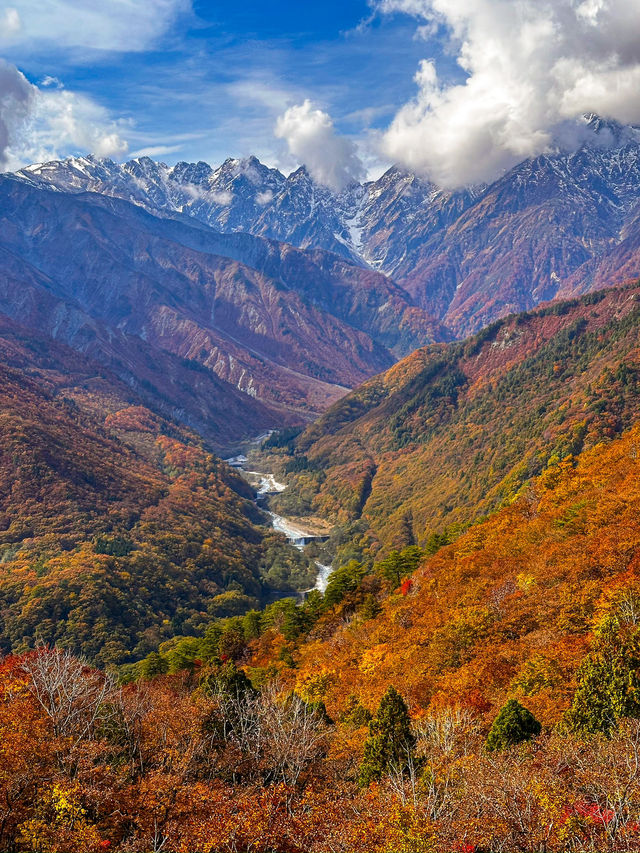 【日本のスイス🇨🇭】目を開けたらそこは別世界三段紅葉の白馬村