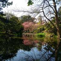 北海道大學植物園