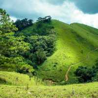 Ta Nang - Phan Dung hiking trail is very beautiful