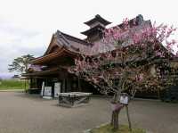 【五稜郭公園:北海道函館市】春には綺麗な桜が見れる五稜郭公園🌸
