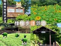 樟樹步道郊遊-平緩易行，一家大細輕鬆享受郊遊趣
