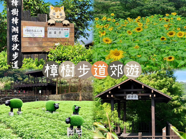 樟樹步道郊遊-平緩易行，一家大細輕鬆享受郊遊趣