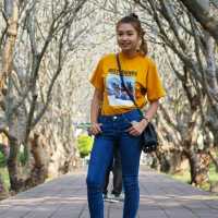 ซุ้มต้นลีลาวดี หน้าพิพิธภัณฑ์สถานแห่งชาติน่าน