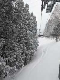 🇯🇵新潟「苗場滑雪場」雪鄉、酒鄉、溫泉鄉