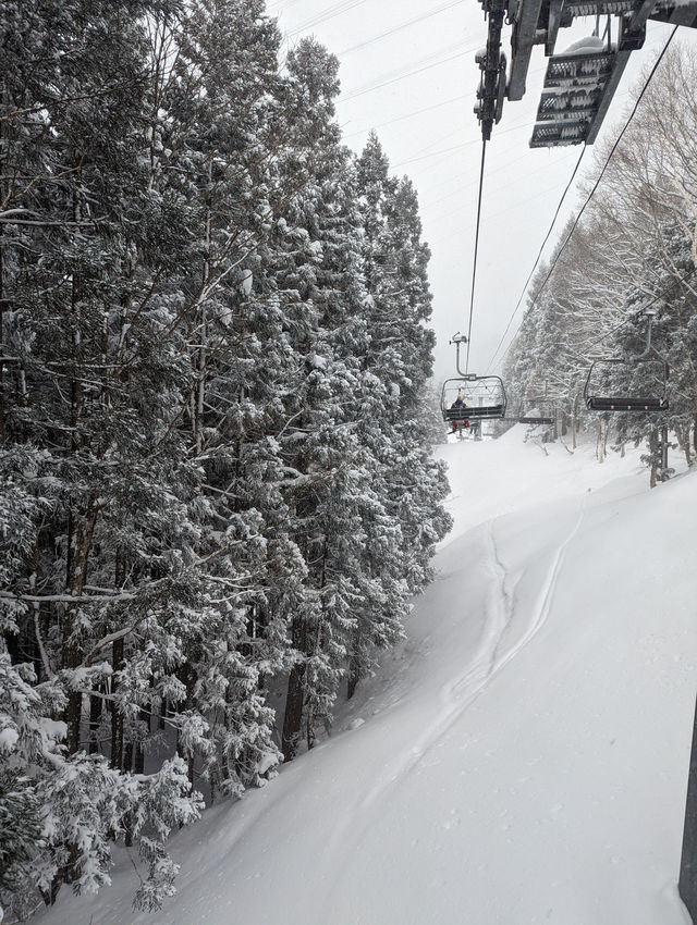 🇯🇵新潟「苗場滑雪場」雪鄉、酒鄉、溫泉鄉