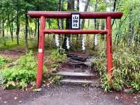 【山梨県】日本三大金運神社の1社で金運を上げてくれる場所