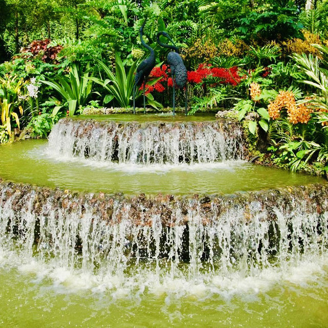 A Floral Paradise in National Orchid Garden 🇸🇬