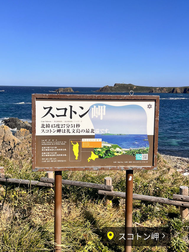 【北海道礼文島】最北限の地スコトン岬✨