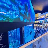 An Enchanting Experience at the Dubai Aquarium