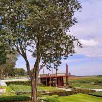 Singha Park Chiang Rai
