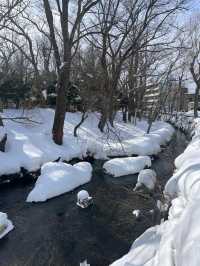 【北海道旅行】浪漫冬季中島公園，適合情侶和家庭放鬆享受美好冬季