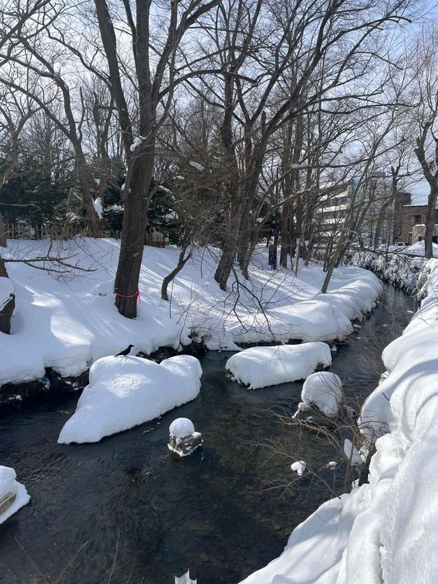 【北海道旅行】浪漫冬季中島公園，適合情侶和家庭放鬆享受美好冬季