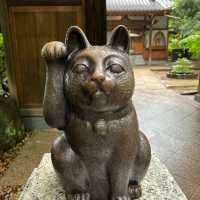 GotoKuji Temple