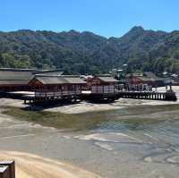 【広島】世界遺産・日本三景の宮島⛩️