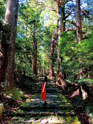 【世界遺產】漫步「重生之地」熊野古道