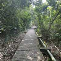 西貢郊野公園行山樂