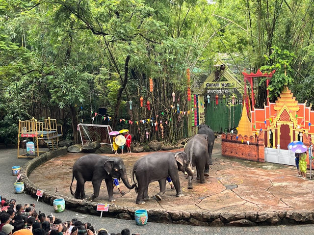 曼谷 野生世界動物園Safari World Bangkok ซาฟารีเวิลด์ กรุงเทพ