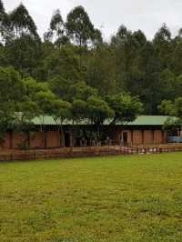 灣仔南營地：西貢西郊野公園