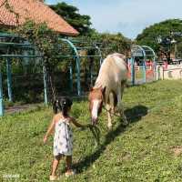 #ฟาร์มแกะพัทยา #SwissSheepFarm #เที่ยวพัทยา 