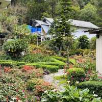 Chasing Kinabalu: My Adventure-Filled Road Trip to Kundasang!