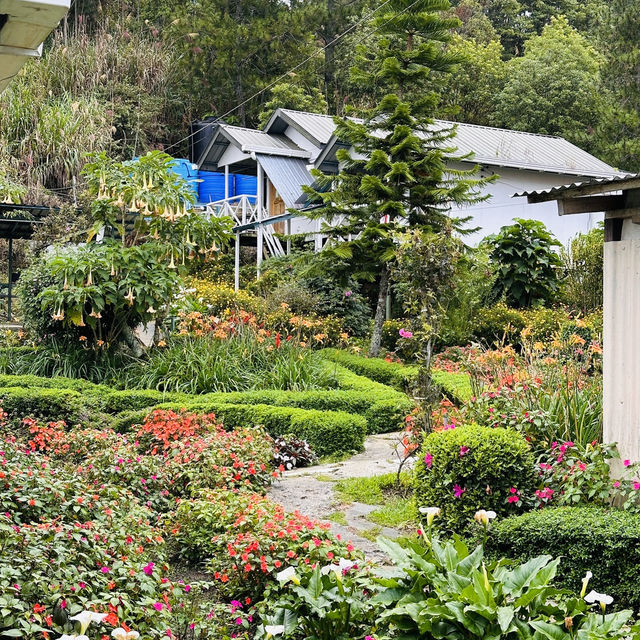 Chasing Kinabalu: My Adventure-Filled Road Trip to Kundasang!