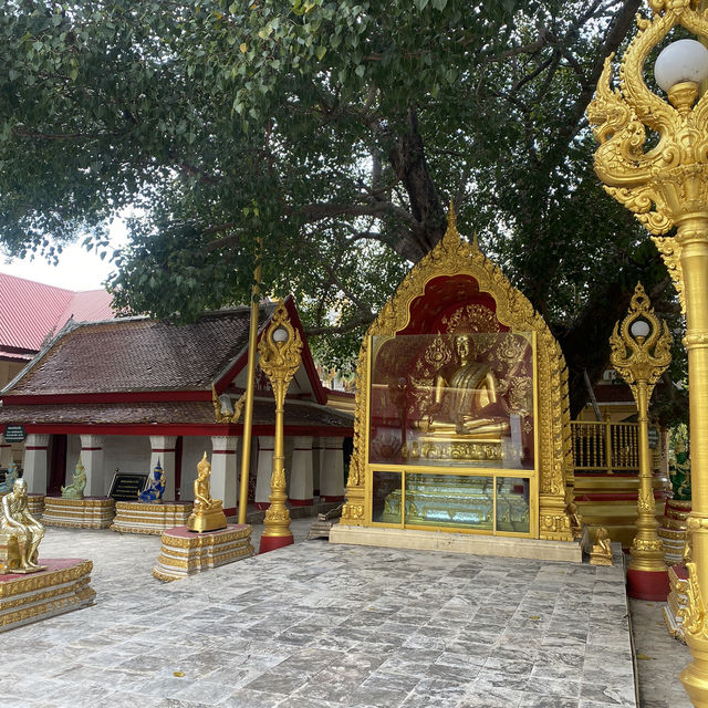 พระธาตุพนม - พระธาตุศักดิ์สิทธิ์แดนอีสาน