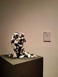 Amazing Art Museum of Chengdu
