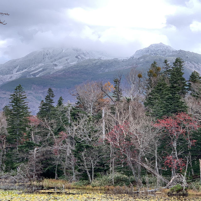 Rewarding sights at Shiretoko Five Lakes morning walk late autumn