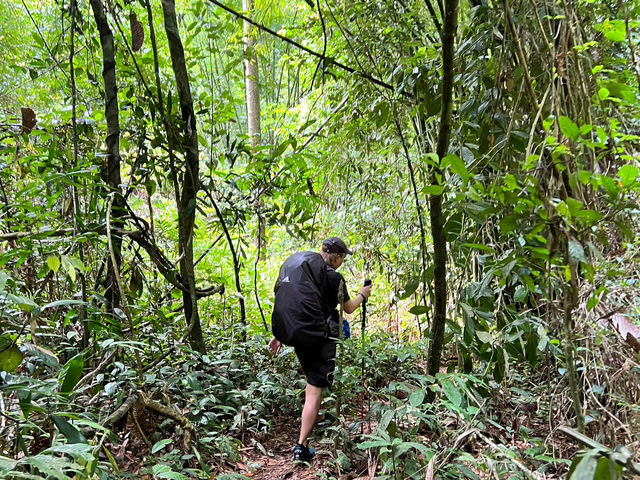 เดินป่าที่น้ำตกสายรุ้งละอองดาว จ.ระนอง🌳