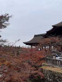 เที่ยววัดน้ำใสแห่งเมืองเกียวโต