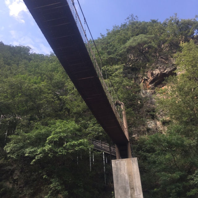 화천 산약초마을🏡