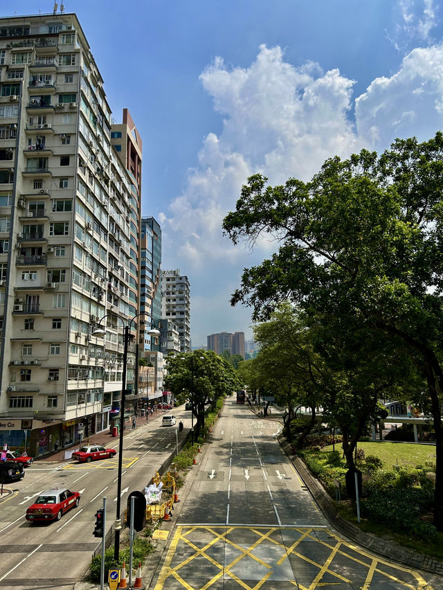 🇭🇰홍콩은 길거리•건물과 야경 맛집❤️‍🔥
