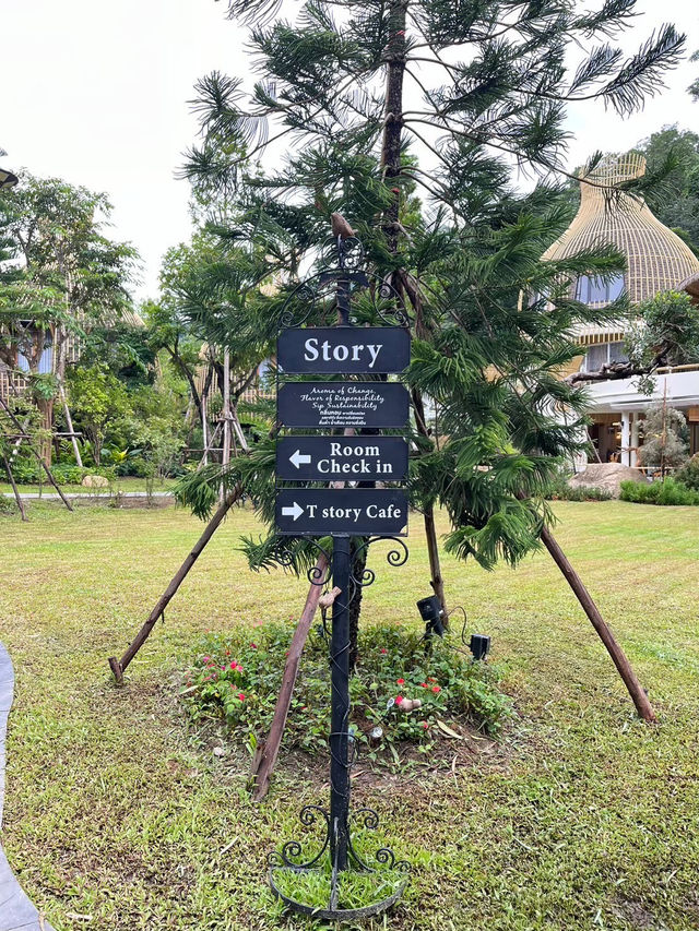 T Story - Mae Kampong🌳🛖
