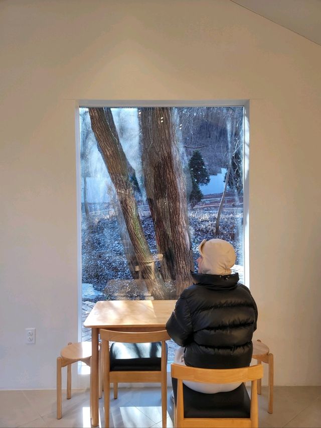 숲속 크리스마스 감성 즐기는 봉화카페🎄