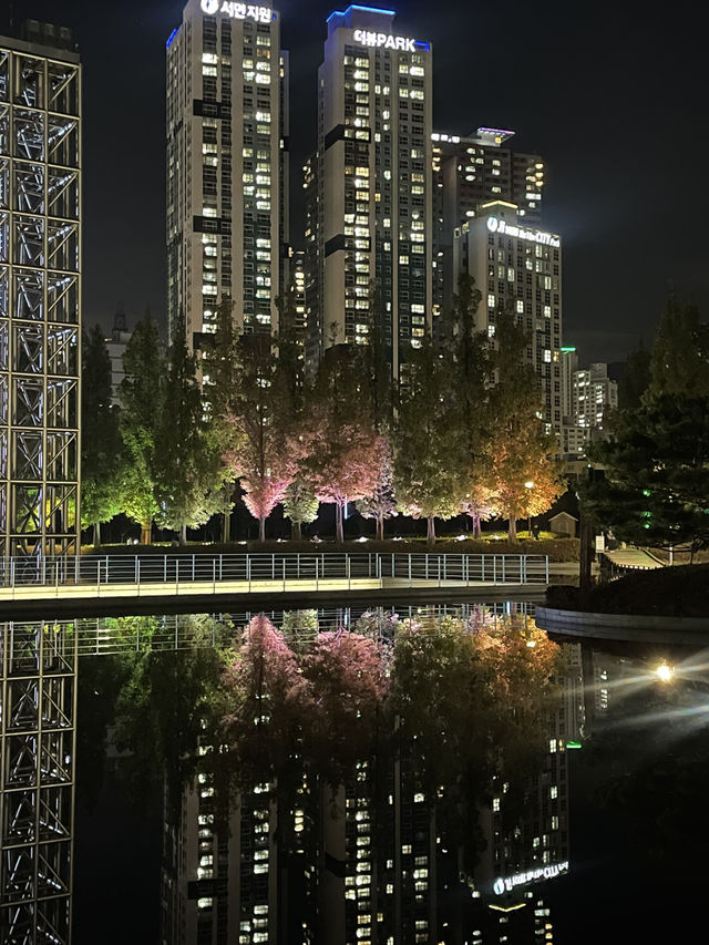 부산의 센트럴 파크 부산시민공원🌿🌳🍂🍁단풍구경하기 좋아요! 