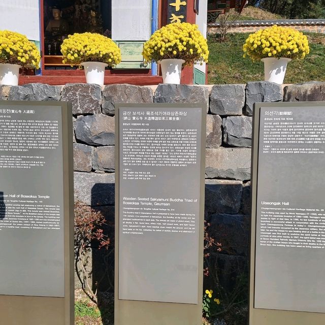 신령한 천년의 은행나무 내년을 기약하며..