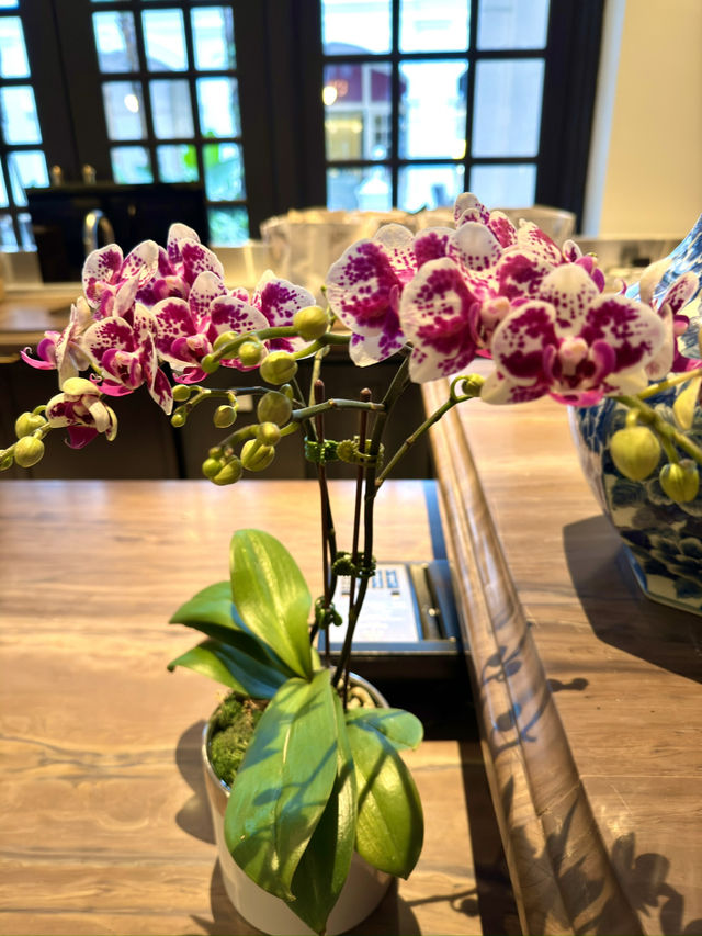 シンガポール　シンガポール観光　Raffles Boutiqueで思い出を！
