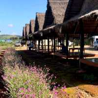 โมริยาห์สวนดอกไม้  ตาก